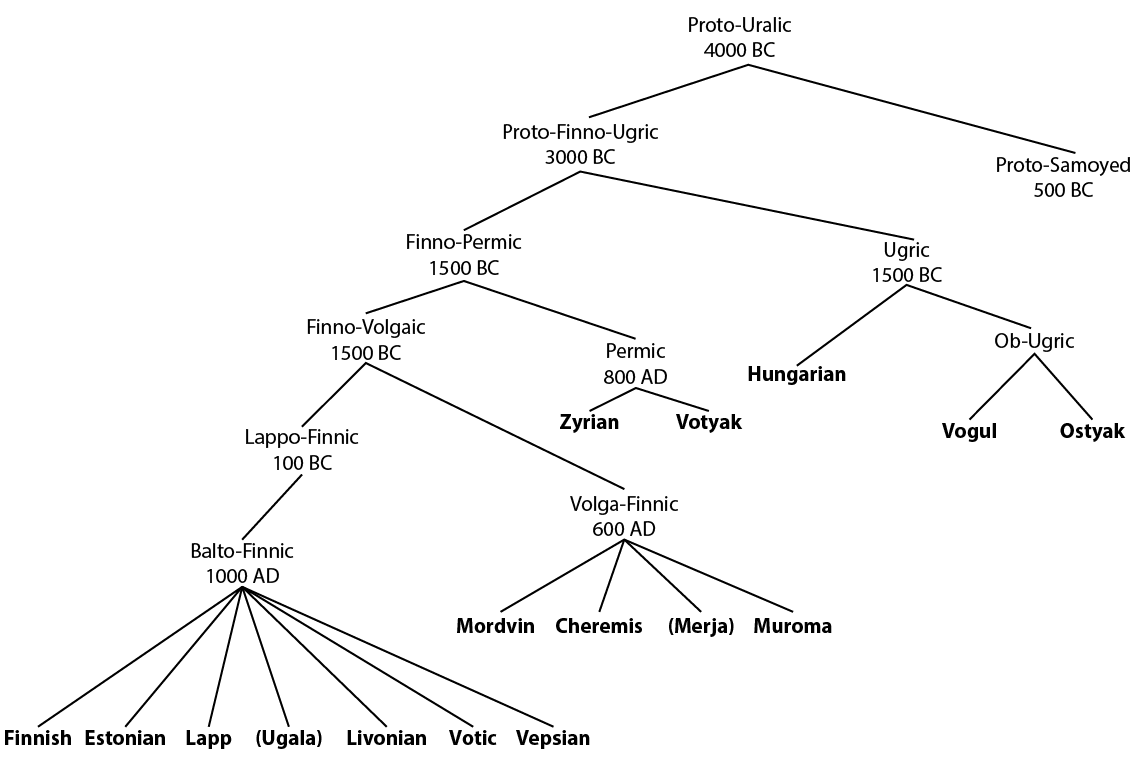 Уральская языковая. Финно-угорские языки схема. Генеалогическое Древо Уральской языковой семьи. Финно угорская языковая семья дерево. Ветви Уральской языковой семьи.