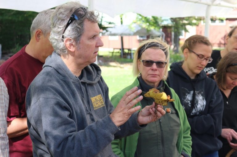 Mushroom Hunting in Vermont Lithuanian Style Deep Baltic