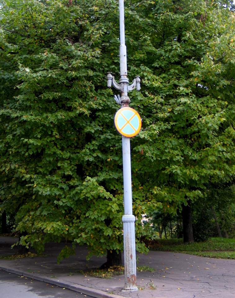 9-Picture 2431.jpg
