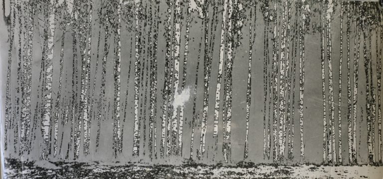 Photographic Pioneers in Soviet-Era Latvia: the Story of Riga Photo ...