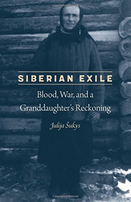 Civil War in Siberia by Jonathan D. Smele